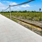 Bán đất nền 696 m² tại Thạnh Lợi, Tây Ninh 790 triệu - Ảnh thu nhỏ 2