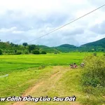 Bán đất nền biệt thự 320m² Di Linh, Lâm Đồng - Ảnh thu nhỏ 1