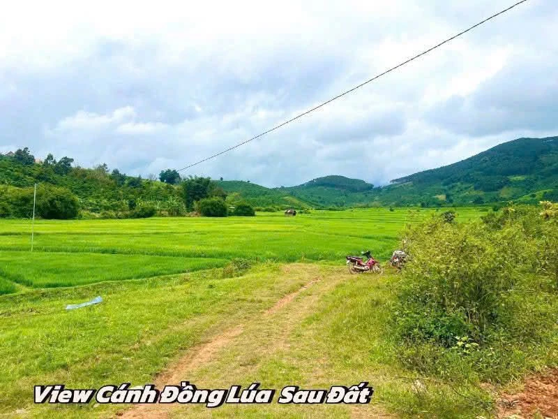 Bán đất nền biệt thự 320m² Di Linh, Lâm Đồng - Ảnh 1