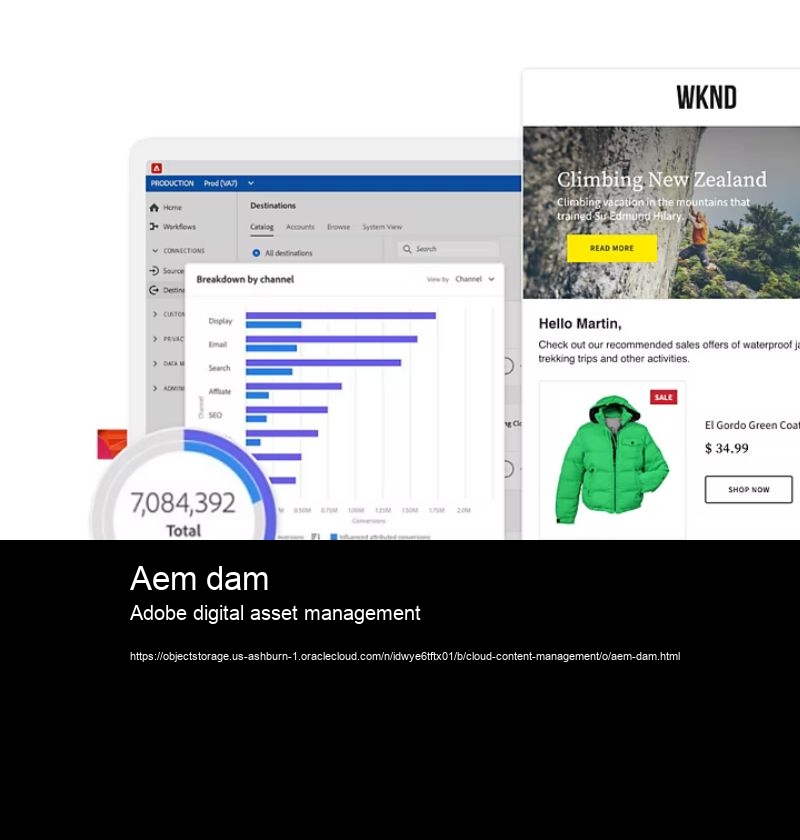 Aem dam Adobe digital asset management How does an enterprise document management system improve workflow?