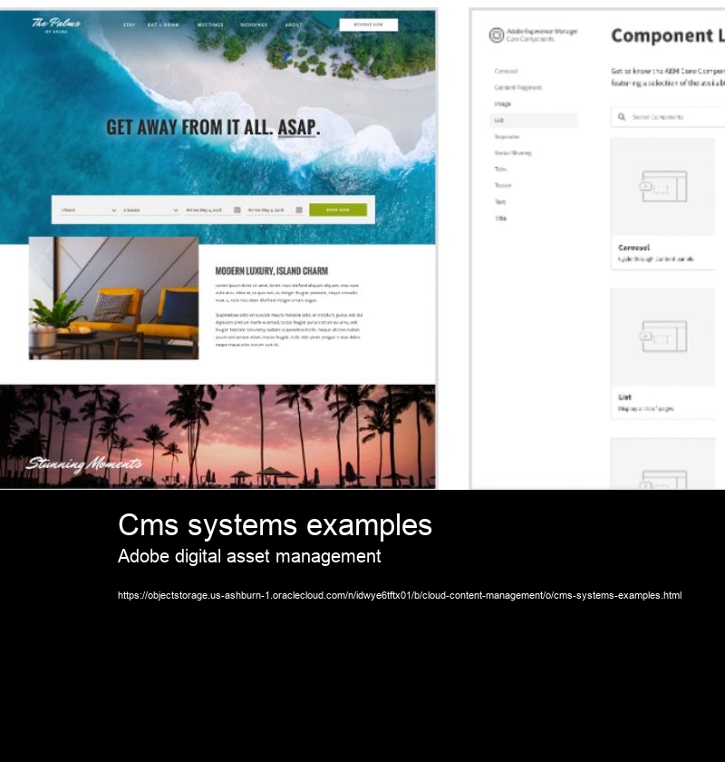 Cms systems examples Adobe digital asset management What are the key features of a video content management system?