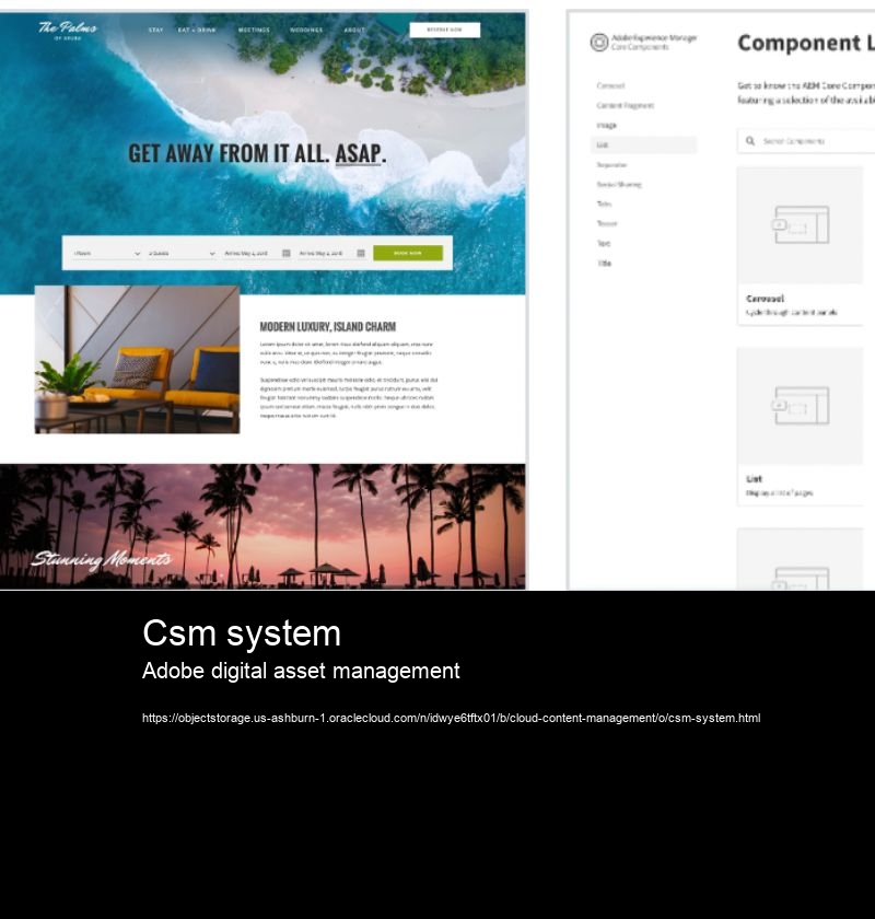 Csm system Adobe digital asset management What is the AEM platform and its functionalities?